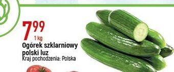 E.Leclerc Ogórki szklarniowe oferta
