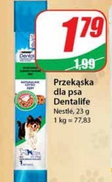 Dino Przekąska dla psa purina dentalife oferta