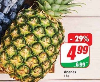 Dino Ananas oferta