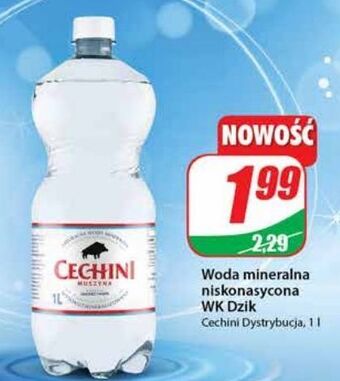 Woda wysokomineralizowana muszyna cechini wk dzik
