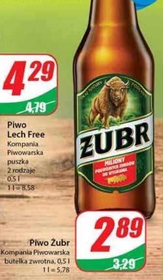 Dino Piwo żubr 1768 oferta