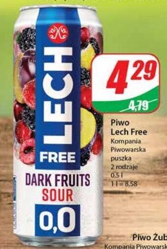 Dino Piwo lech free dark fruits sour oferta