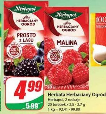 Dino Herbata prosto z lasu herbapol herbaciany ogród oferta