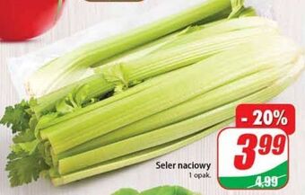 Dino Seler naciowy oferta