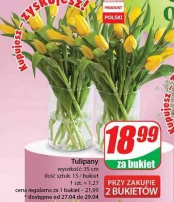 Dino Tulipany oferta