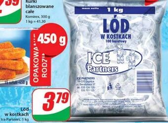Lód w kostkach ice partners