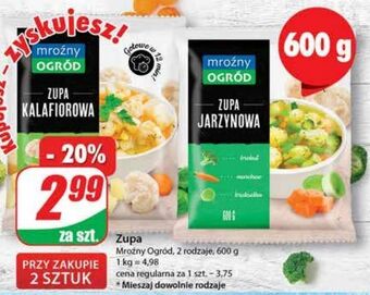 Dino Zupa jarzynowa mroźny ogród oferta