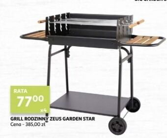 Auchan Grill rodzinny zeus garden star oferta