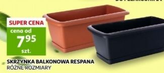 Auchan Skrzynka balkonowa respana prosperplast oferta