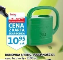 Auchan Konewka spring 5 l zielona oferta