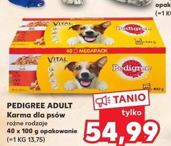 Kaufland Karma dla psa adult wołowina pedigree oferta