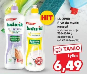 Kaufland Płyn do mycia naczyń cytrynowy ludwik oferta