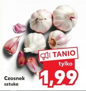 Kaufland Czosnek oferta