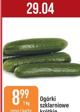 E.Leclerc Ogórek szklarniowy krótki oferta