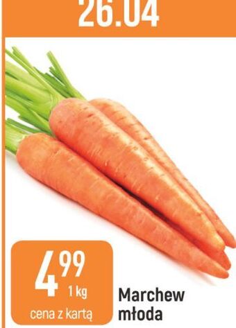 E.Leclerc Marchew młoda oferta
