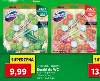 Lidl Kostki do WC oferta