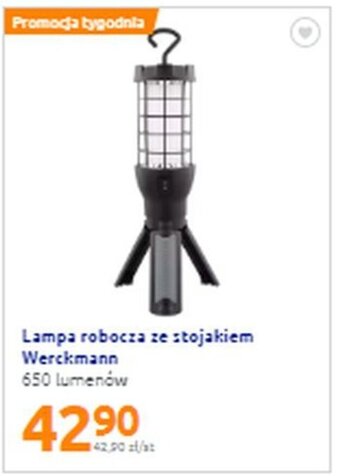 Action Lampa robocza ze stojakiem Werckmann 650 lumenów oferta