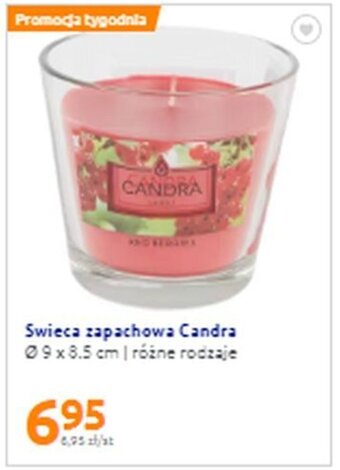 Action Swieca zapachowa Candra 1szt. oferta