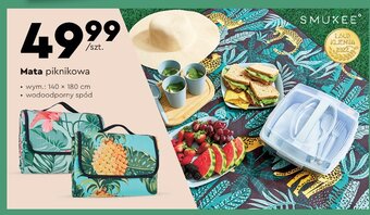 Biedronka Mata piknikowa 140 x 180 cm oferta