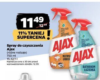 Netto Spray do czyszczenia oferta
