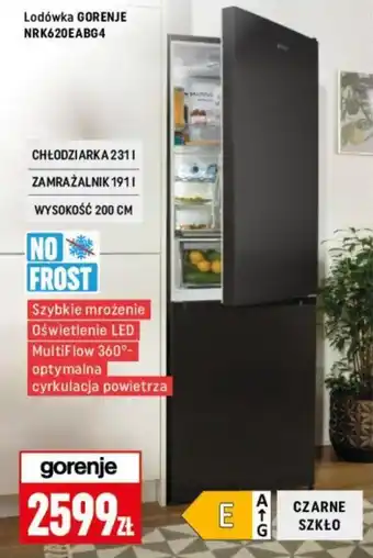 Neopunkt Lodówka GORENJE NRK620EABG4 oferta