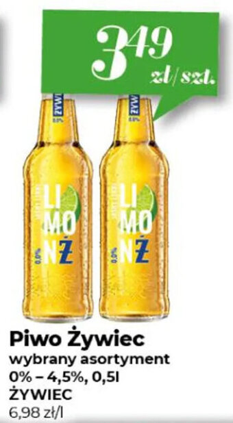 Gama ŻYWIEC Piwo Żywiec oferta