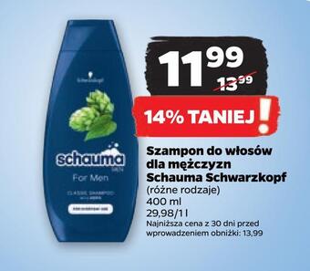 Netto Szampon do włosów dla mężczyzn schauma schwarzkopf oferta