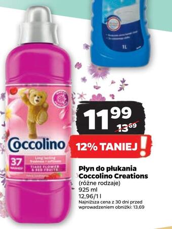 Netto Płyn do płukania coccolino creations oferta