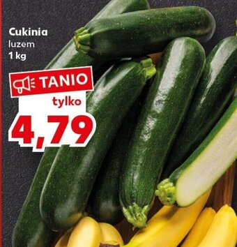 Kaufland Cukinia 1 kg oferta