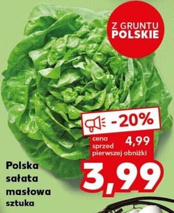 Kaufland Polska sałata masłowa sztuka oferta