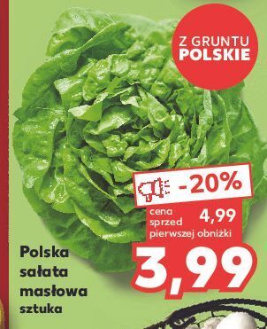 Kaufland Sałata masłowa oferta