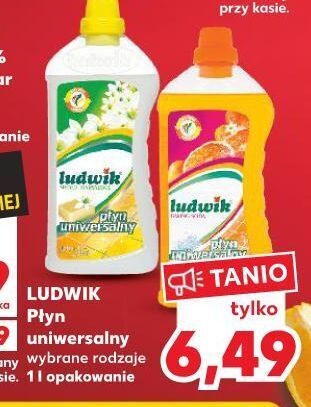Kaufland Płyn uniwersalny baking soda pomarańczowy ludwik oferta