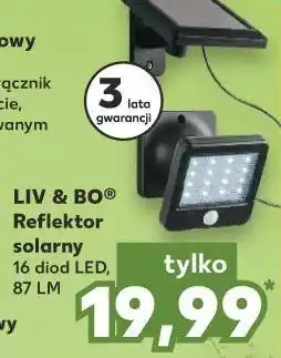 Kaufland Reflektor zewnętrzny led 22 w liv & bo oferta