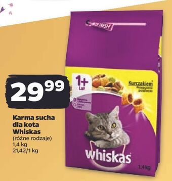 Netto Karma dla kota z kurczakiem whiskas oferta