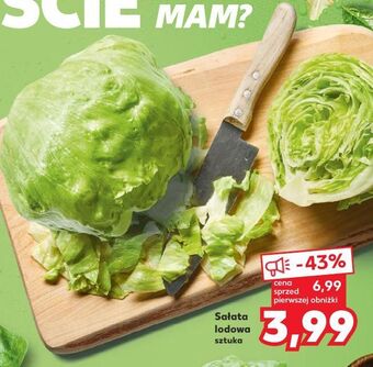 Kaufland Sałata lodowa oferta