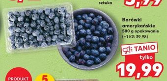 Kaufland Borówka amerykańska oferta