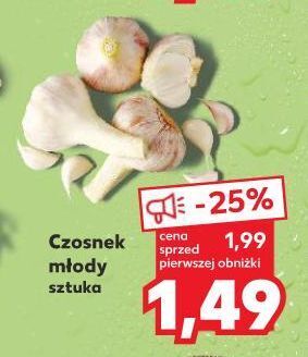 Kaufland Czosnek młody oferta
