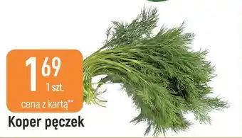 Koper