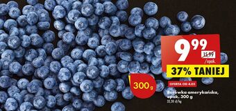 Biedronka Borówki amerykańskie oferta