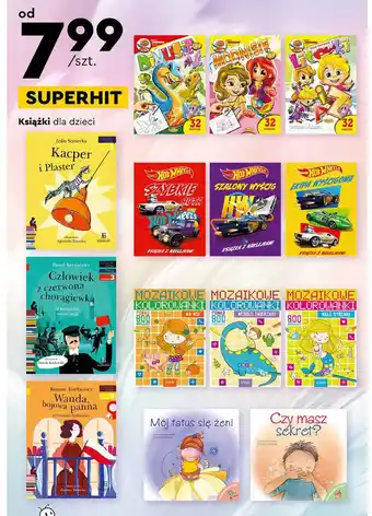 Biedronka Mozaikowe kolorowanki na wsi oferta