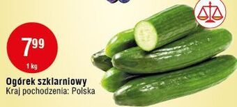 E.Leclerc Ogórek szklarniowy oferta
