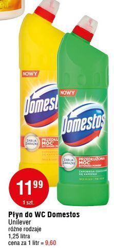 E.Leclerc Płyn do wc pine domestos oferta
