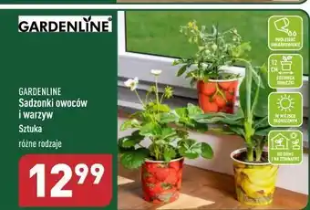 ALDI Sadzonki warzyw garden line oferta