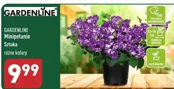 Mini petunia don. 12 cm garden line