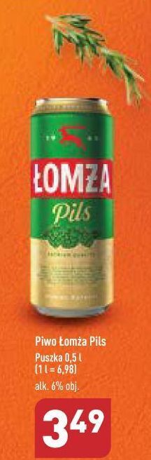 ALDI Piwo łomża pils oferta