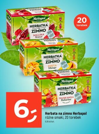 Dealz Herbatka mięta-mango herbapol na zimno oferta