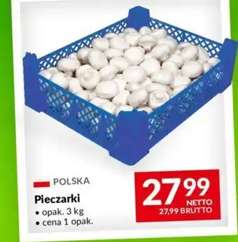 Makro Pieczarki 3kg oferta