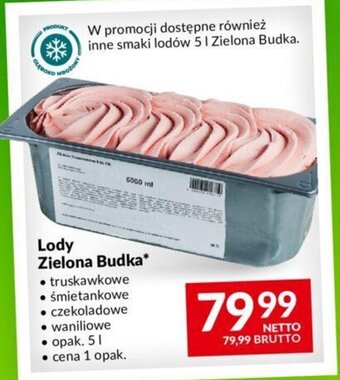 Makro Lody Zielona Budka 5l oferta