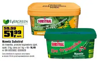 OBI Nawóz Substral oferta