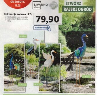 Lidl Dekoracja solarna LED oferta